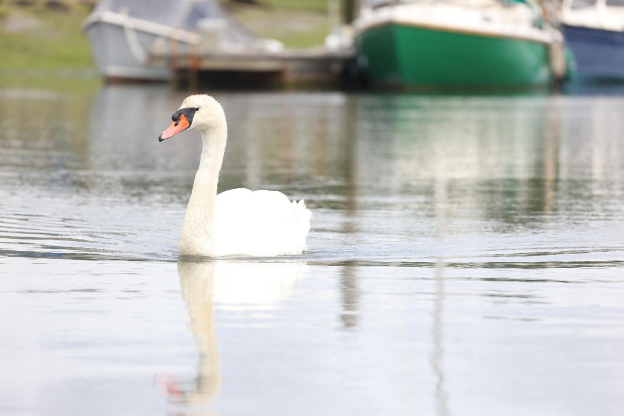 Bursledon Mercury Yacht Harbour And Holiday Park מראה חיצוני תמונה